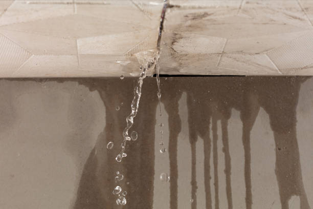 Professional Burst Pipe Cleanup technician working in Scandia, MN